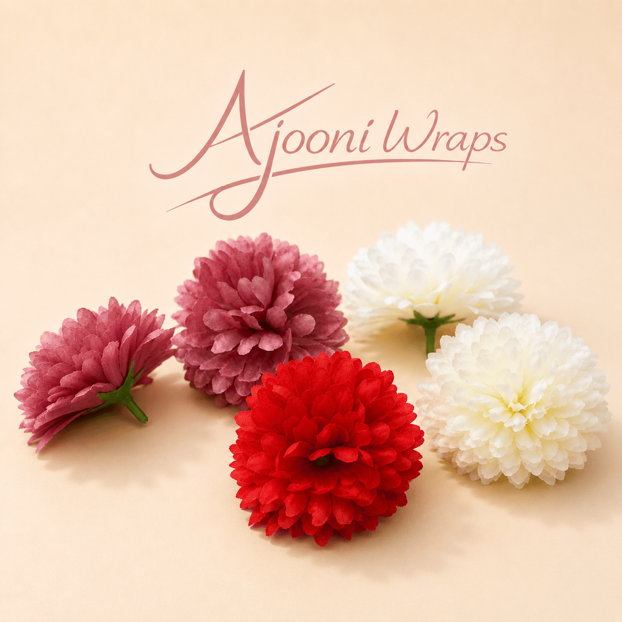 Beautiful Bloom Chrysanthemum Flower