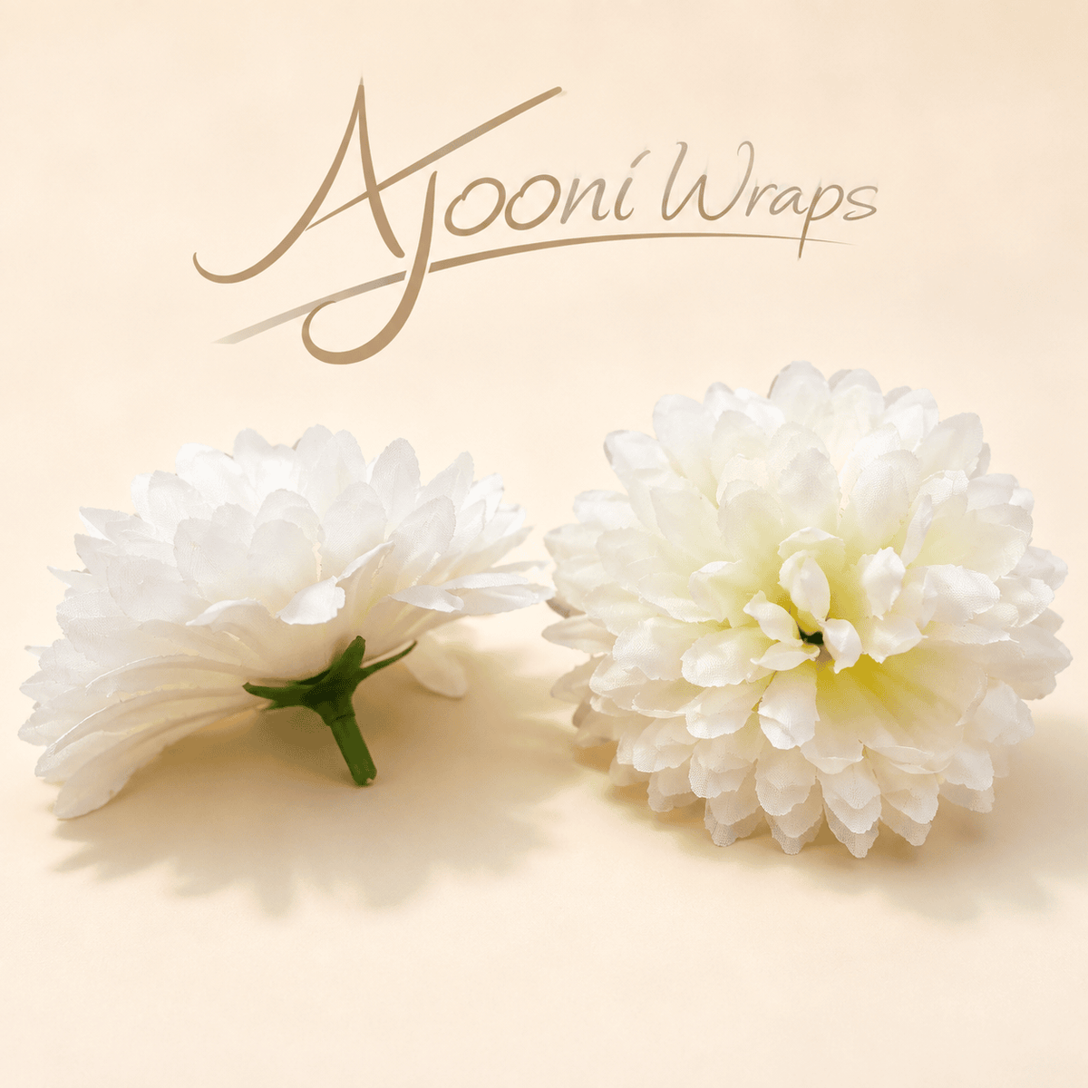 Beautiful Bloom Chrysanthemum Flower