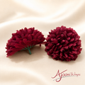 Premium Crimson Chrysanthemum Flower ⭐