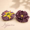 Midnight Imperial Peony