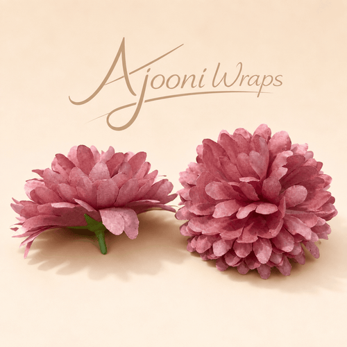 Beautiful Bloom Chrysanthemum Flower