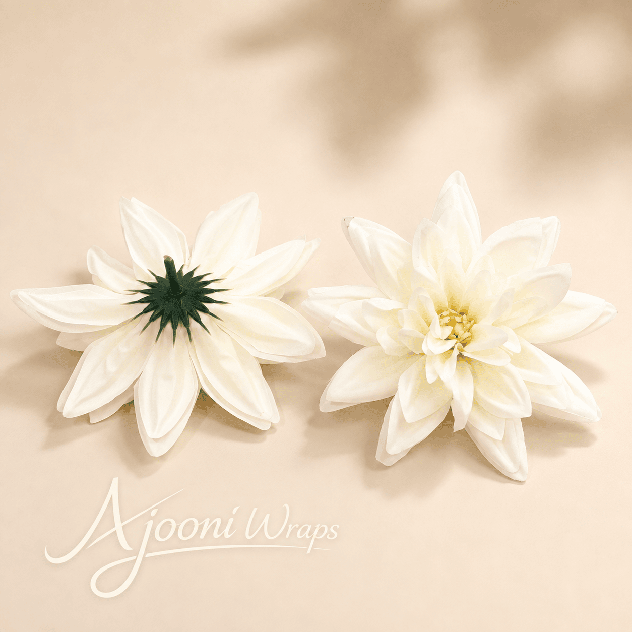 Radiant Bloom Dahlia ⭐