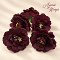 Premium Burgundy Dahlia Flower