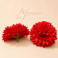 Beautiful Bloom Chrysanthemum Flower