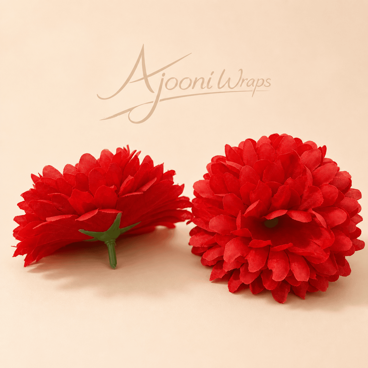 Beautiful Bloom Chrysanthemum Flower